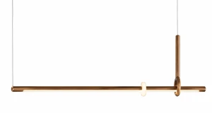 baculum