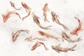 Tapeta Nautis