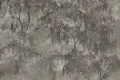 Tapeta Vinea