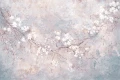 Tapeta Selina