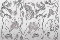 Tapeta Lianthus