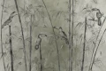 Tapeta Soltuca