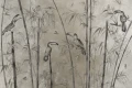 Tapeta Soltuca