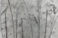Tapeta Soltuca