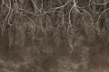 Tapeta Lumora