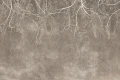 Tapeta Lumora