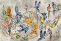 Tapeta Parrot