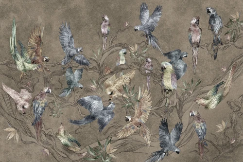 Tapeta Parrot