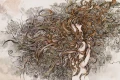 Tapeta Ellien