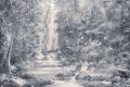Tapeta Mossy