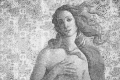 Tapeta Venus