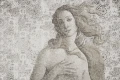 Tapeta Venus