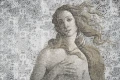 Tapeta Venus