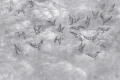 Tapeta Avian