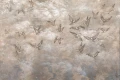 Tapeta Avian