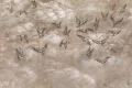 Tapeta Avian