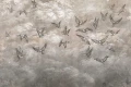 Tapeta Avian