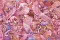 Tapeta Paravis