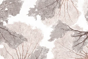 Tapeta Reefy