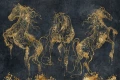 Tapeta Cavallo