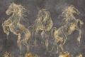 Tapeta Cavallo