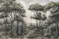 Tapeta Wildiria
