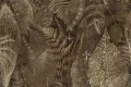 Tapeta Grevio