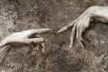 Tapeta Mitto