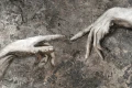 Tapeta Mitto