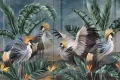 Tapeta Cabird
