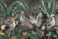 Tapeta Cabird