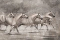 Tapeta Carino