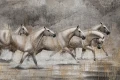 Tapeta Carino