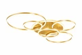 Golden Halo_01.jpeg