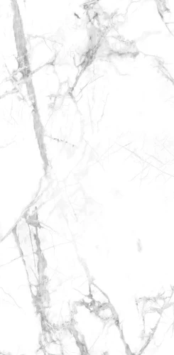 Płyta Węglowa BIANCO VENATO