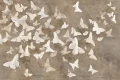 Tapeta Nuvia