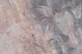 Tapeta Fugace