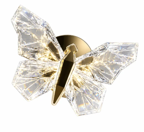 kinkiet butterfly