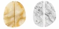 arfeme duo 029